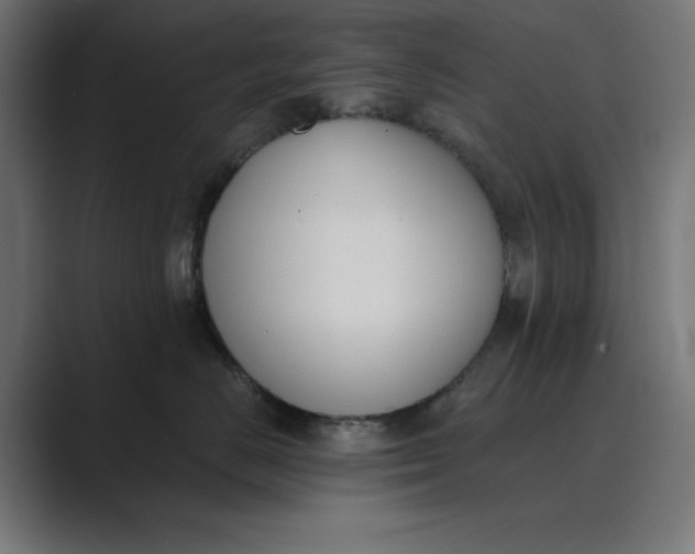 X0000089390670200706291336