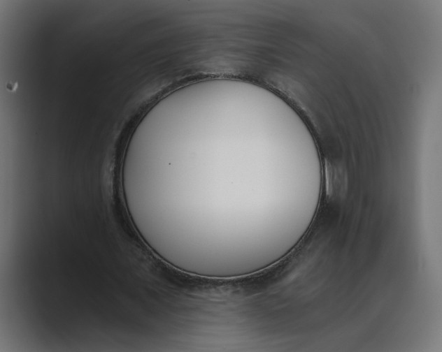 X0000089390675200706291335