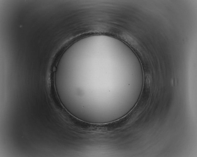 X0000089390676200706291335