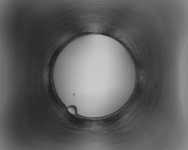 X0000089390679200706291335