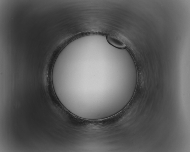 X0000089390680200706291335