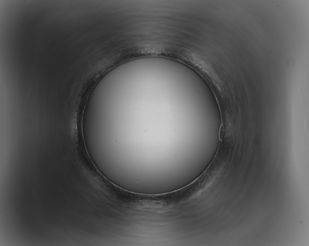 X0000089390681200706291335
