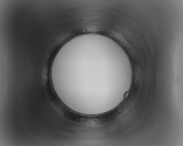 X0000089390683200706291335