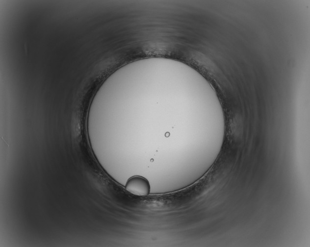 X0000089390687200706291335