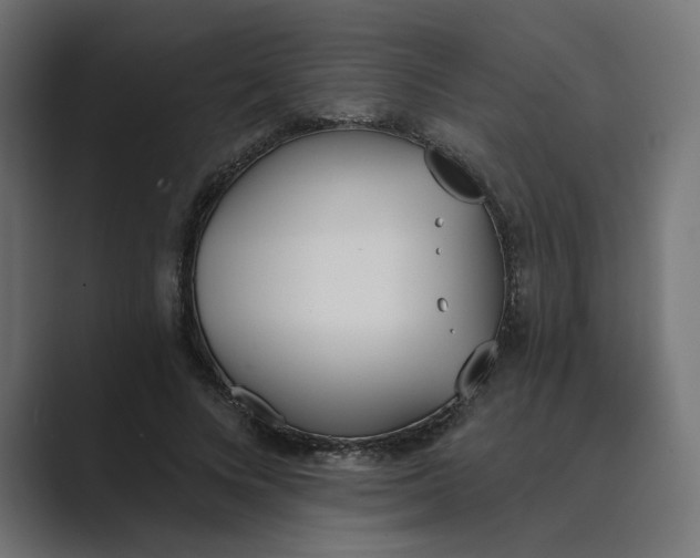 X0000089390688200706291335