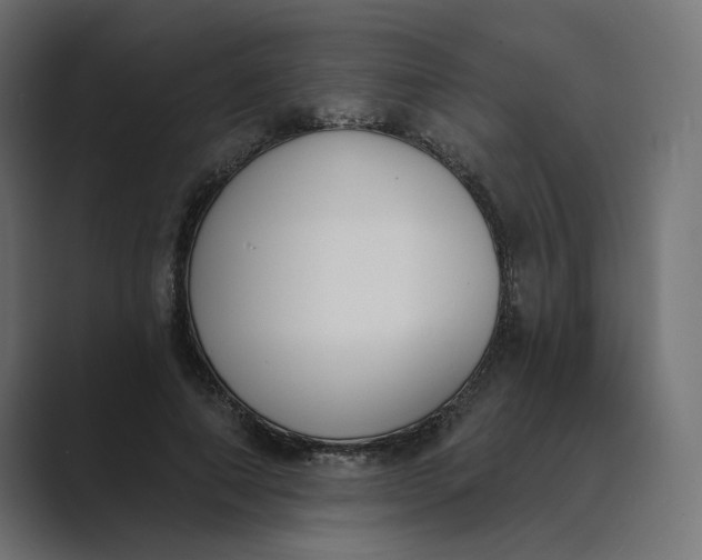 X0000089390690200706291335