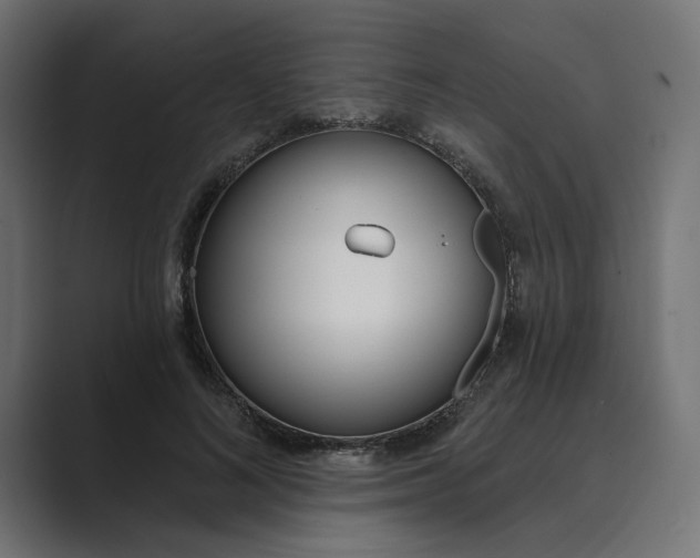 X0000089390692200706291335