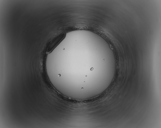 X0000089390696200706291335