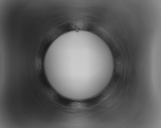 X0000089390699200706291335