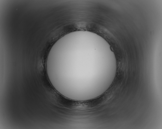 X0000089390702200706291335