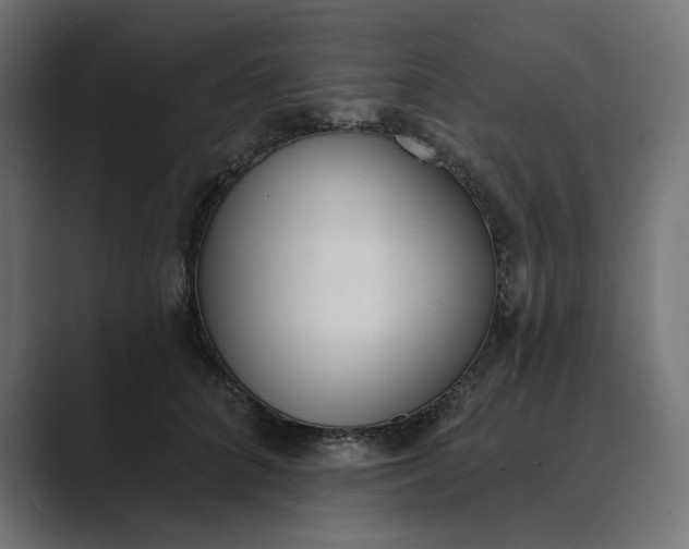 X0000089390704200706291335