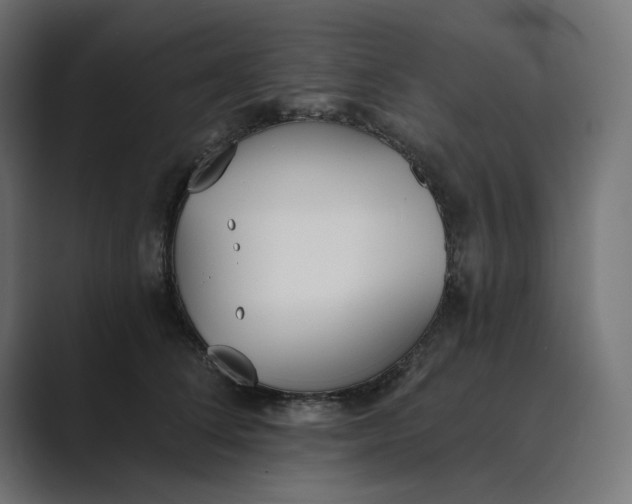 X0000089390708200706291335