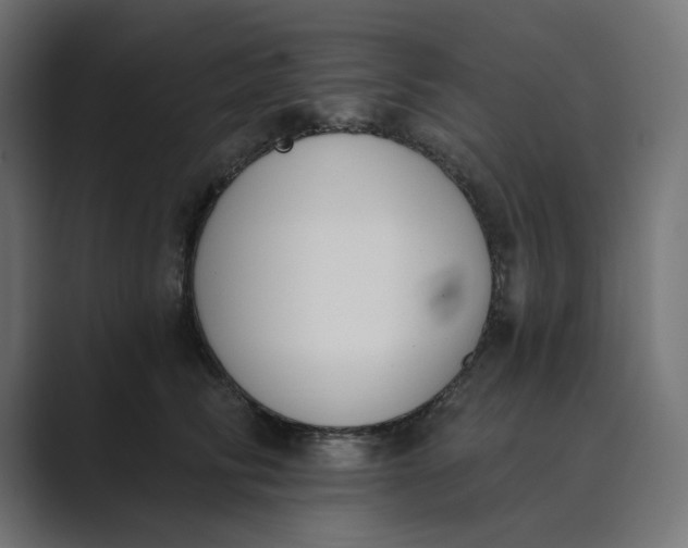 X0000089390710200706291335