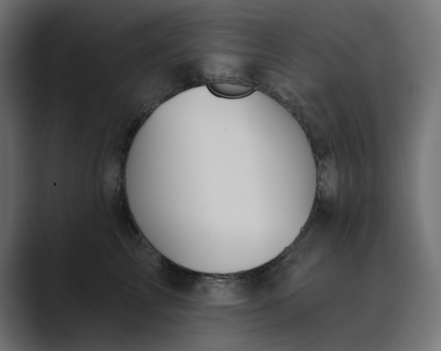 X0000089390713200706291335