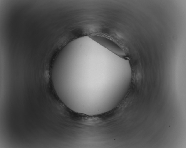 X0000089390716200706291334