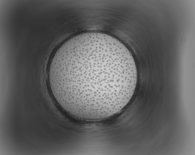 X0000089390721200706291334