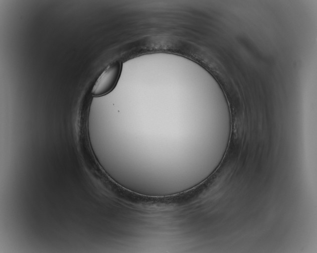 X0000089390722200706291334