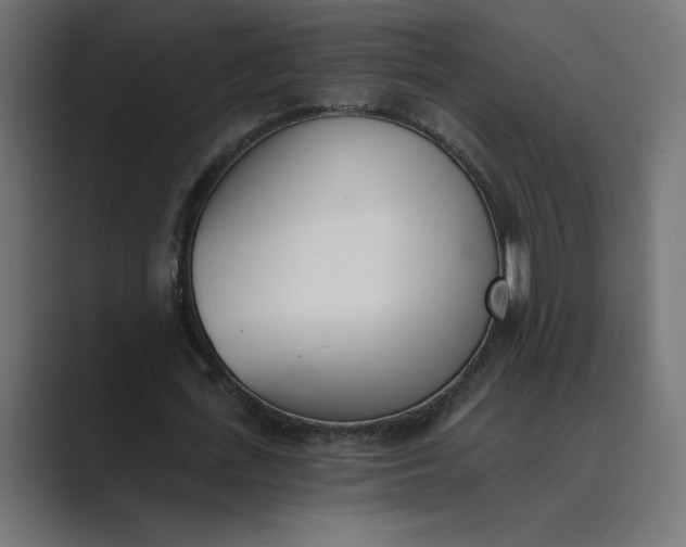 X0000089390723200706291334