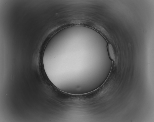 X0000089390724200706291334