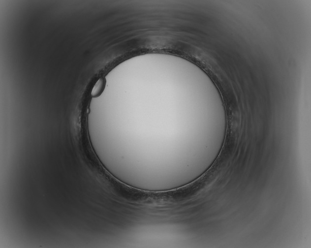 X0000089390727200706291334