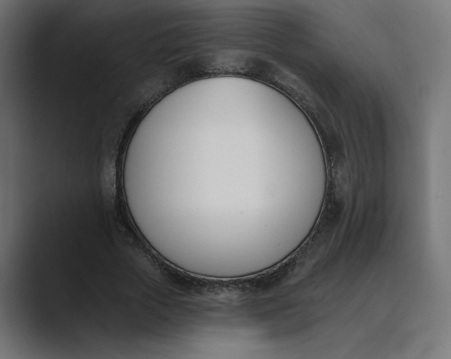 X0000089390729200706291334