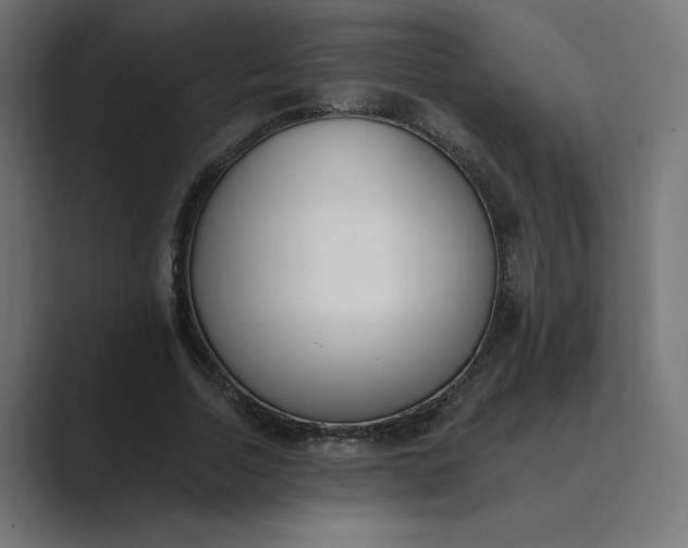 X0000089390730200706291334