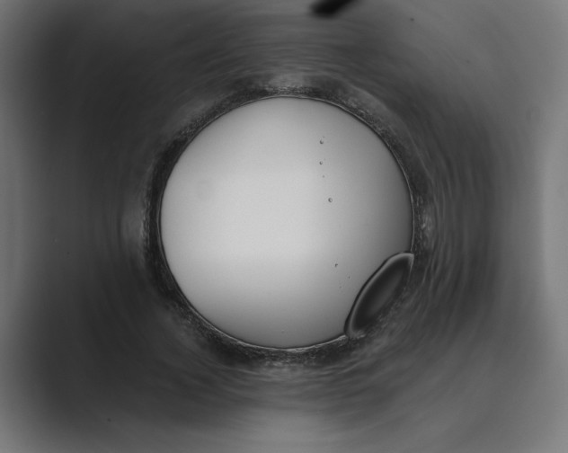 X0000089390732200706291334