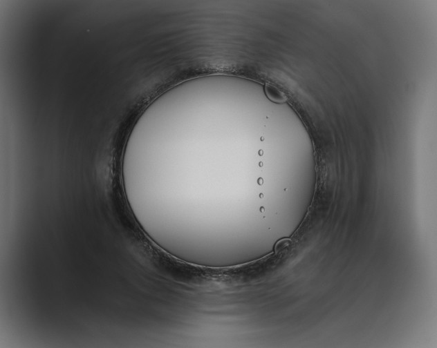 X0000089390736200706291334