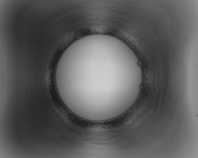 X0000089390738200706291334