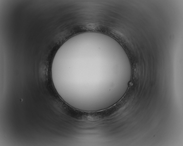 X0000089390739200706291334