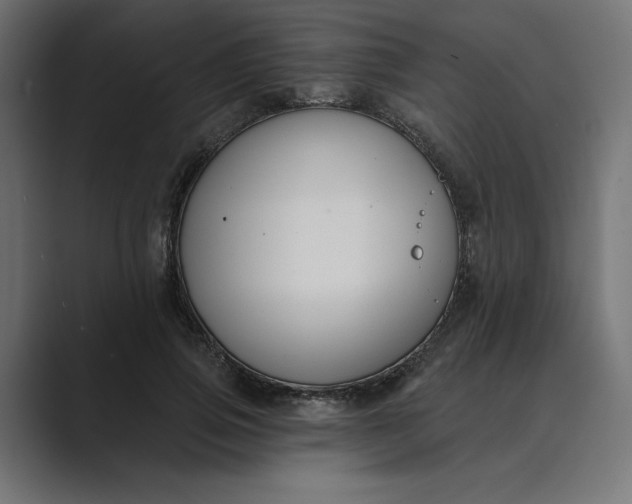 X0000089390741200706291334