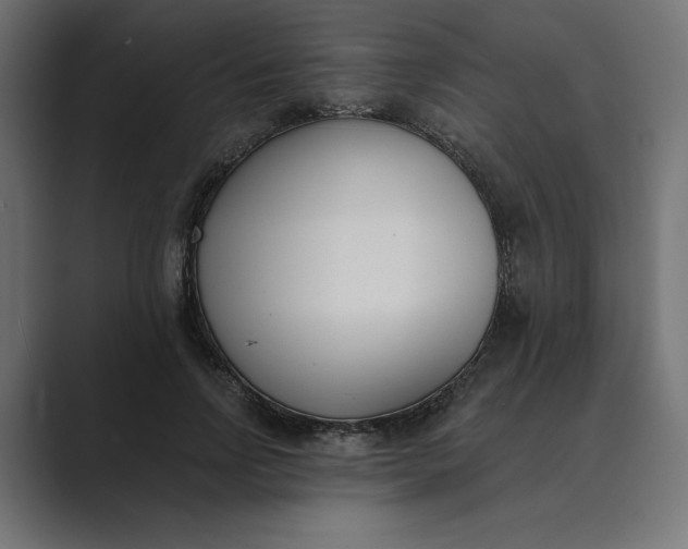 X0000089390742200706291334