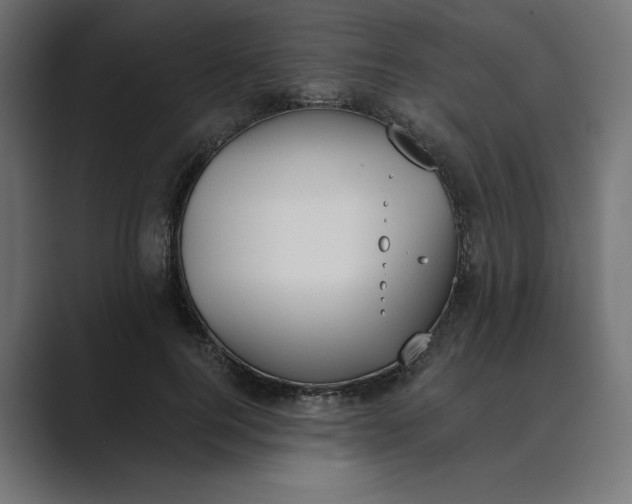 X0000089390744200706291334