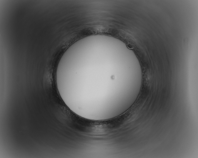 X0000089390746200706291334