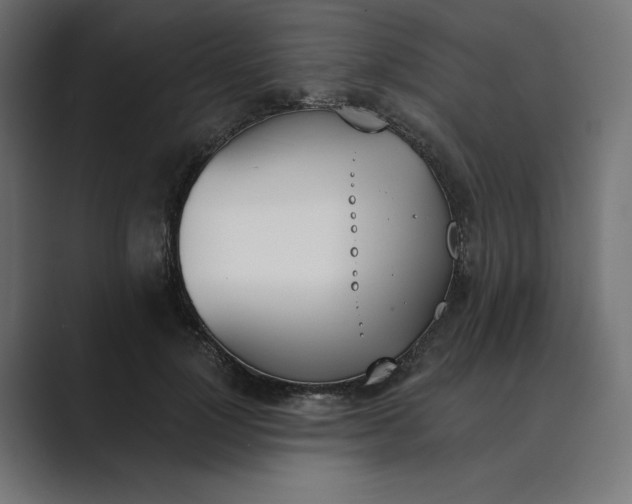 X0000089390748200706291334