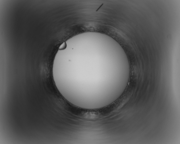 X0000089390751200706291334