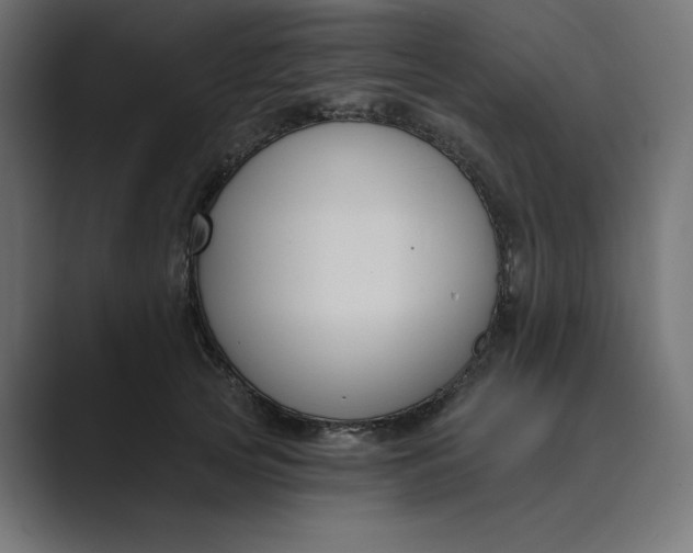 X0000089390753200706291334