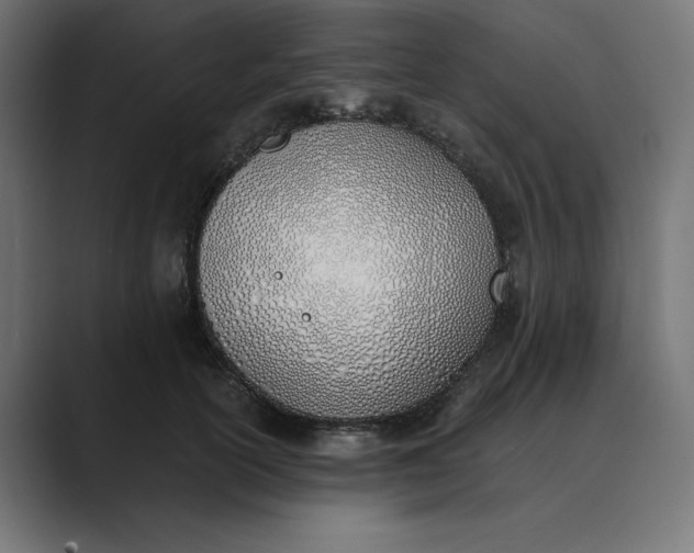 X0000089390754200706291334