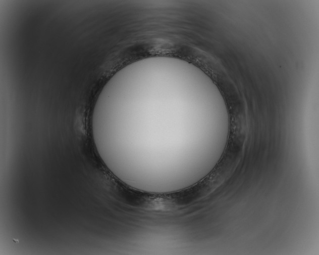 X0000089390755200706291334