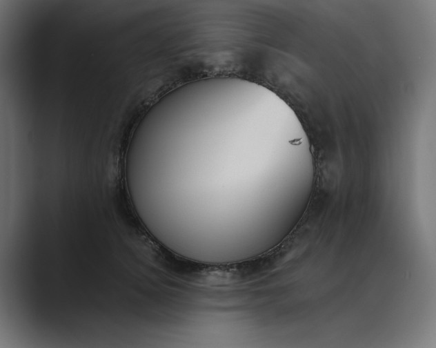 X0000089390756200706291334
