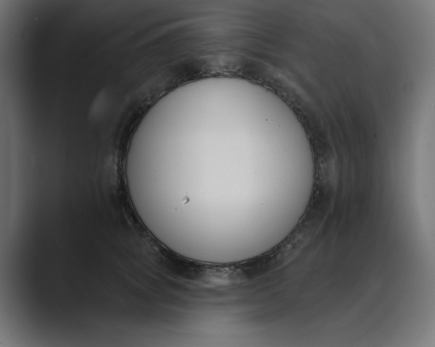 X0000089390757200706291334