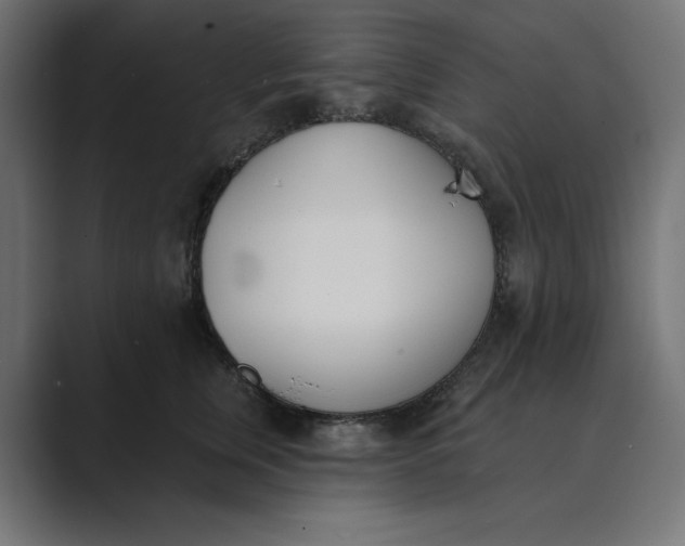 X0000089390759200706291334