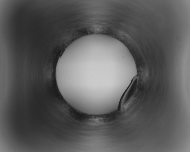 X0000089390760200706291334