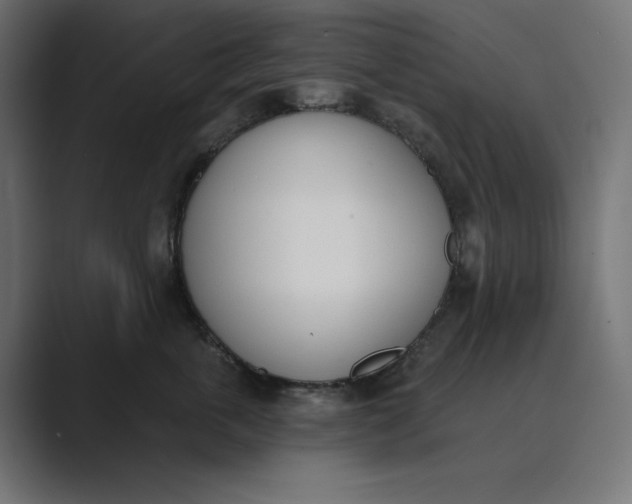 X0000089390763200706291334