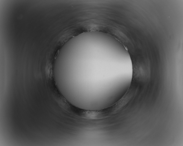 X0000089390766200706291334