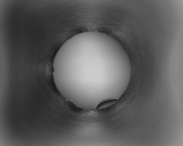 X0000089390768200706291334