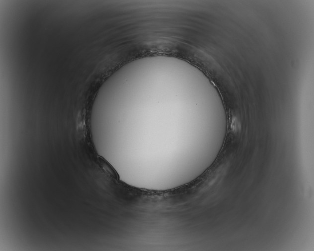 X0000089390771200706291334