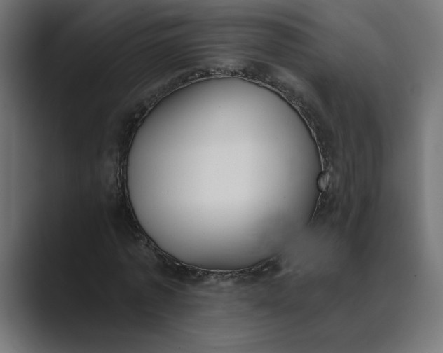 X0000089390773200706291334