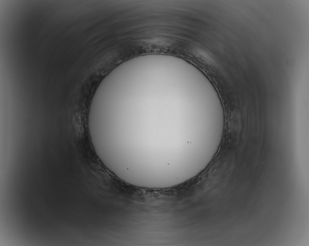 X0000089390774200706291334