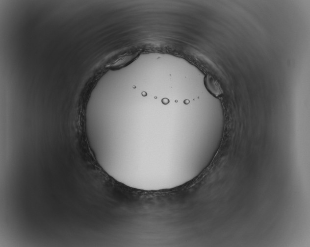 X0000089390776200706291334